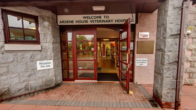 Vets Now Aberdeen 1068x601 1 768x432