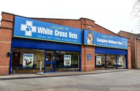 derby alvaston