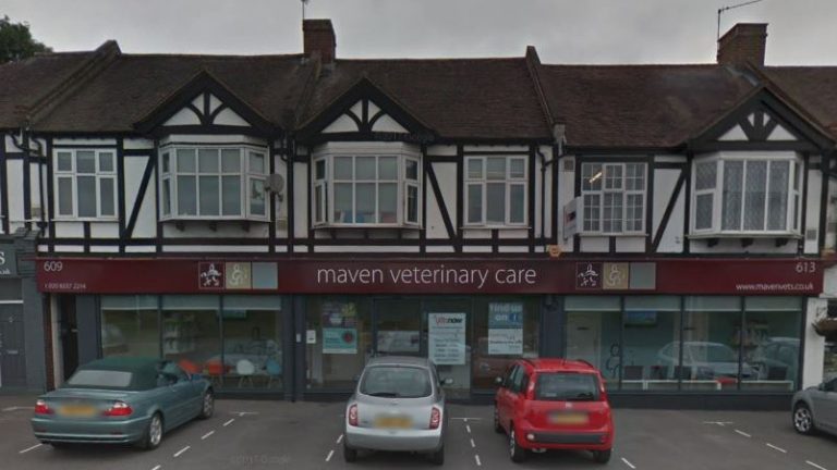 vets now sutton located in Maven Ceterinary Care 802x451 1 768x432