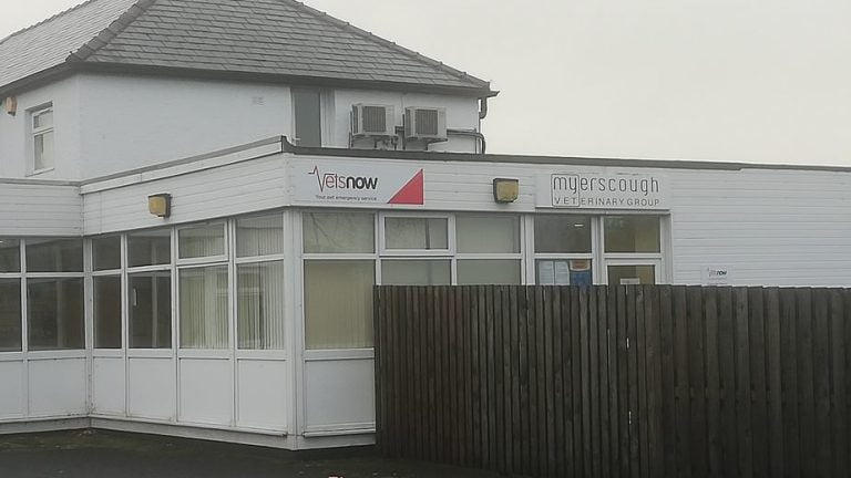 Vets Now Preston 925x520 1 768x432