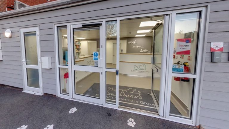 Vets Now pet emergency out of hours clinic Eastbourne 1280x720 1 768x432